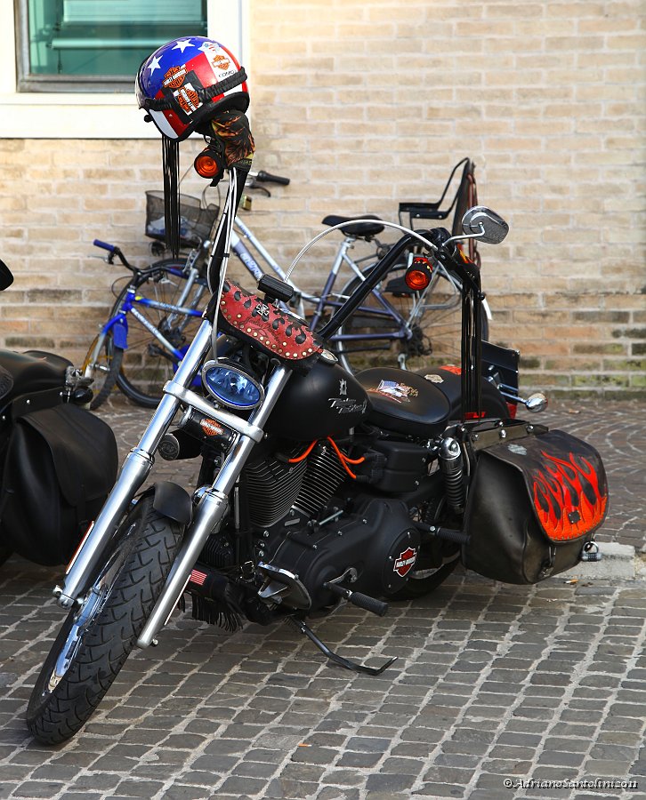 IMG_3241.JPG