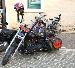 IMG_3242