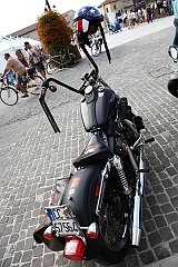 IMG_3251