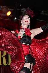 IMG_5567