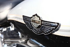 IMG_6006