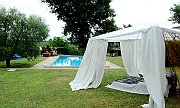 TFA_8761