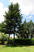TFA_8866