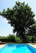 TFA_8868