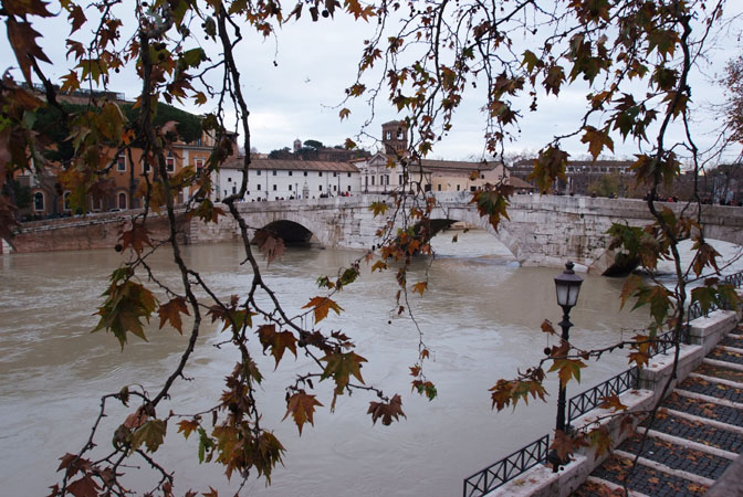 DSCF0108.jpg - T F