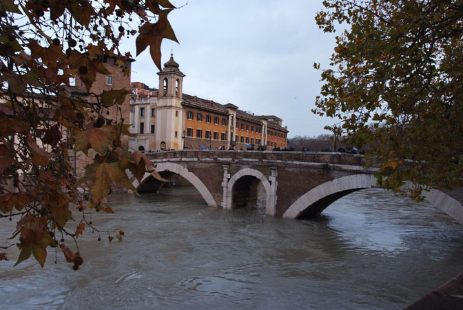 DSCF0181.jpg - T F