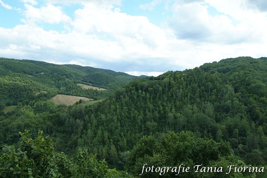 DSCF0219.JPG