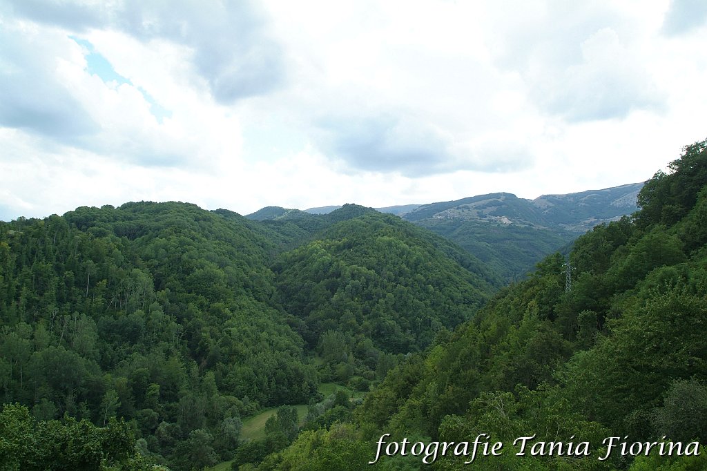 DSCF0221.JPG