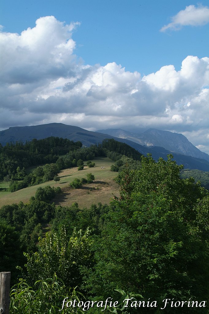 DSCF0229.JPG