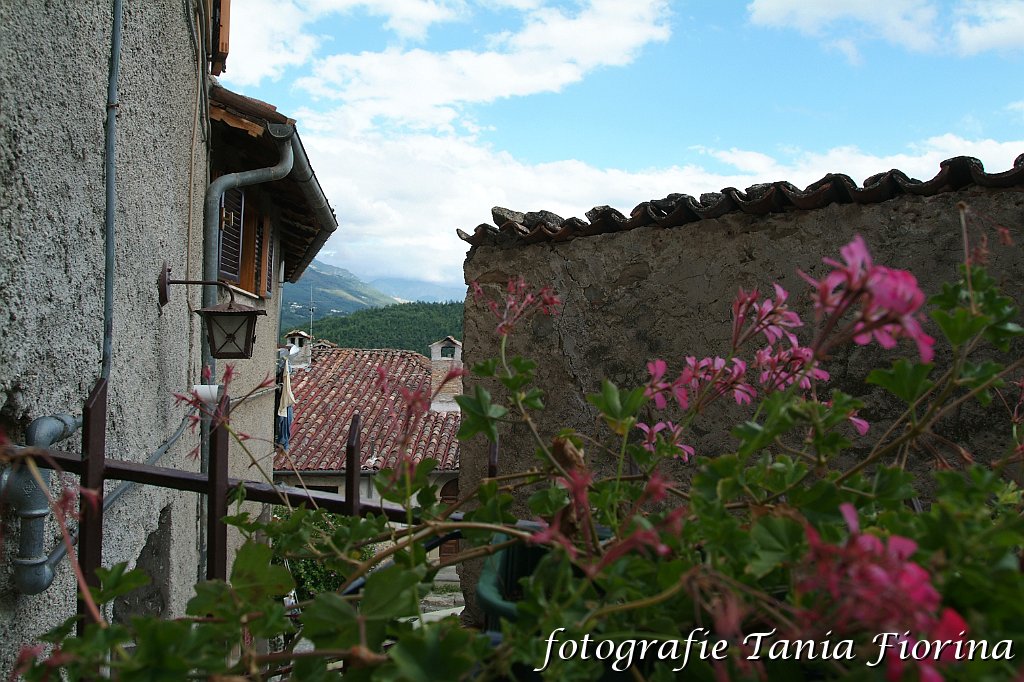 DSCF0236.JPG