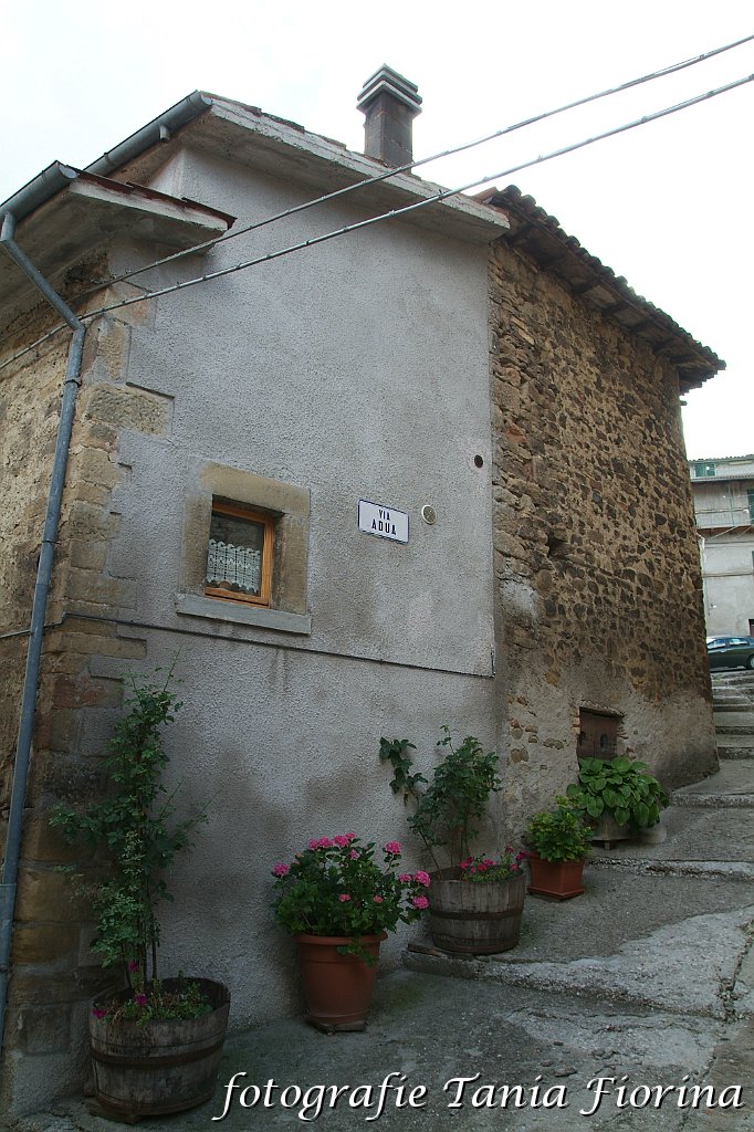 DSCF0239.JPG