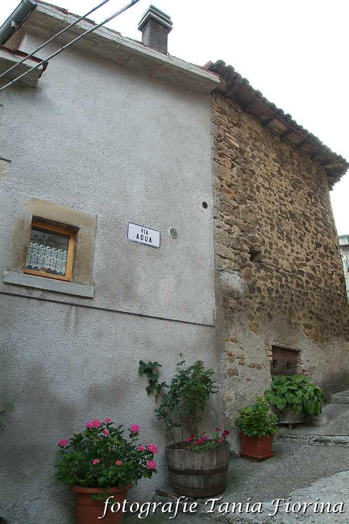 DSCF0241.JPG