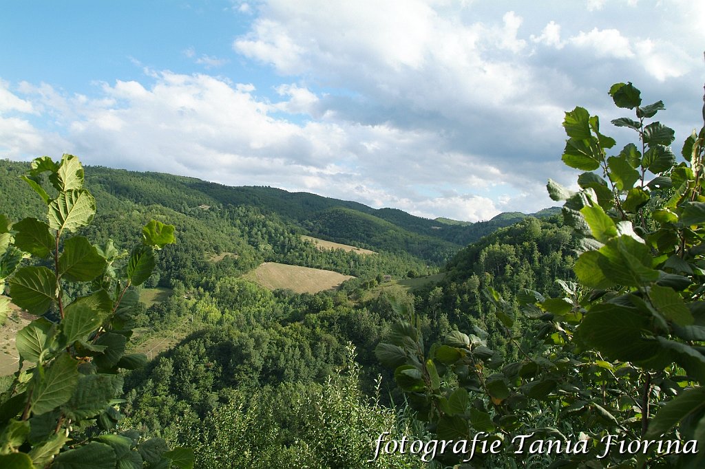 DSCF0266.JPG