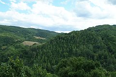 DSCF0219