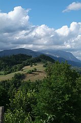 DSCF0229