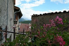 DSCF0236