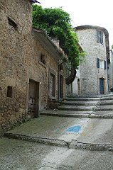 DSCF0242