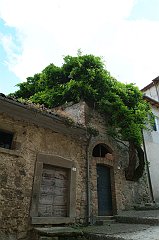 DSCF0245