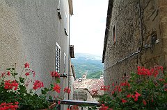 DSCF0246