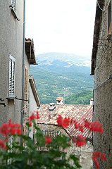 DSCF0247