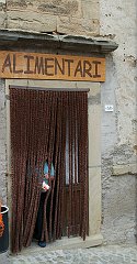 DSCF0249