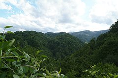 DSCF0262