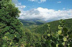 DSCF0265