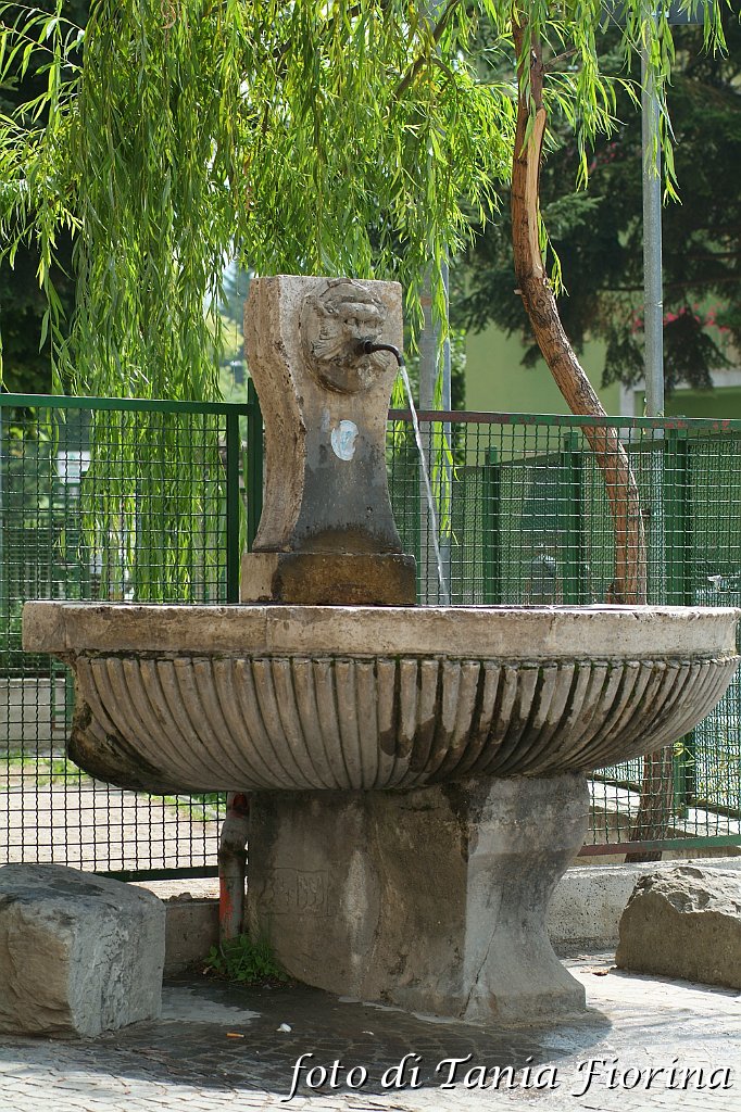 DSCF0012.JPG