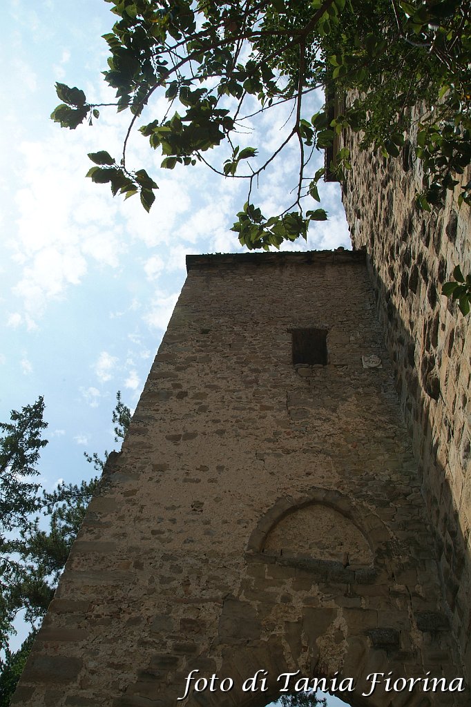 DSCF0030.JPG
