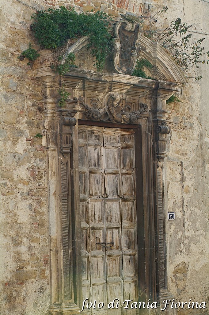 DSCF0484.JPG