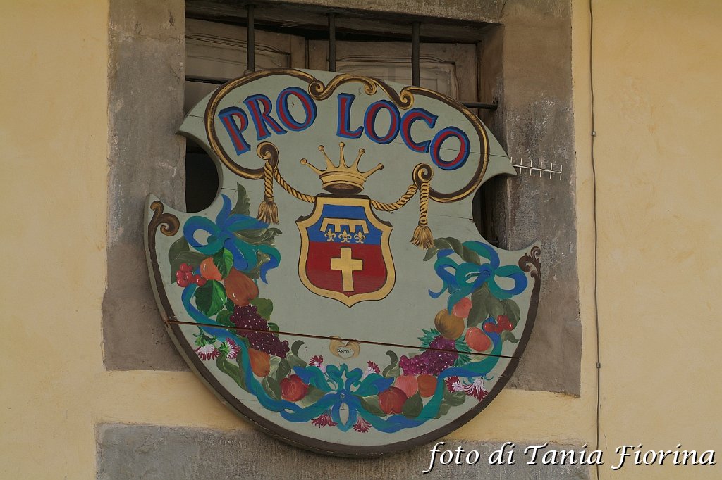 DSCF0537.JPG