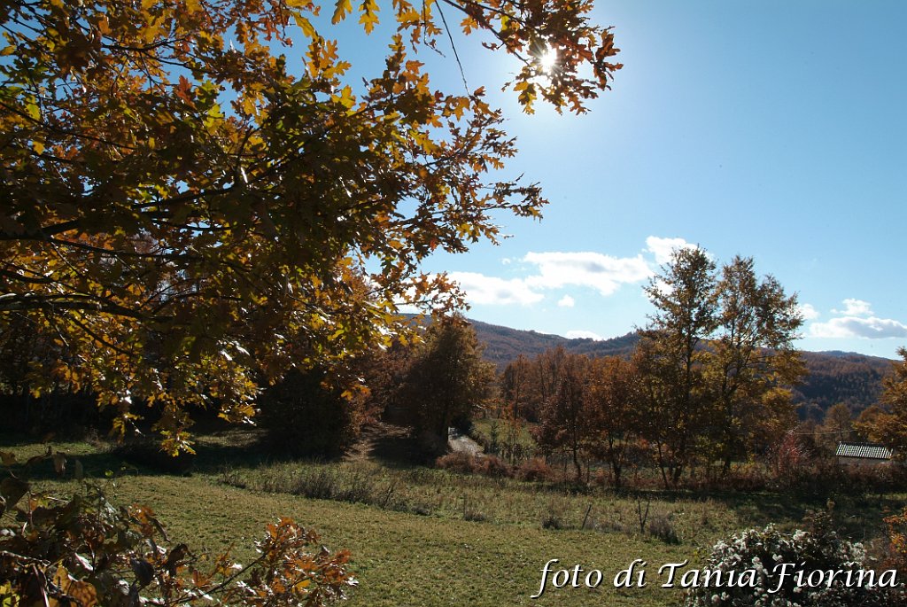 DSCF0233.JPG