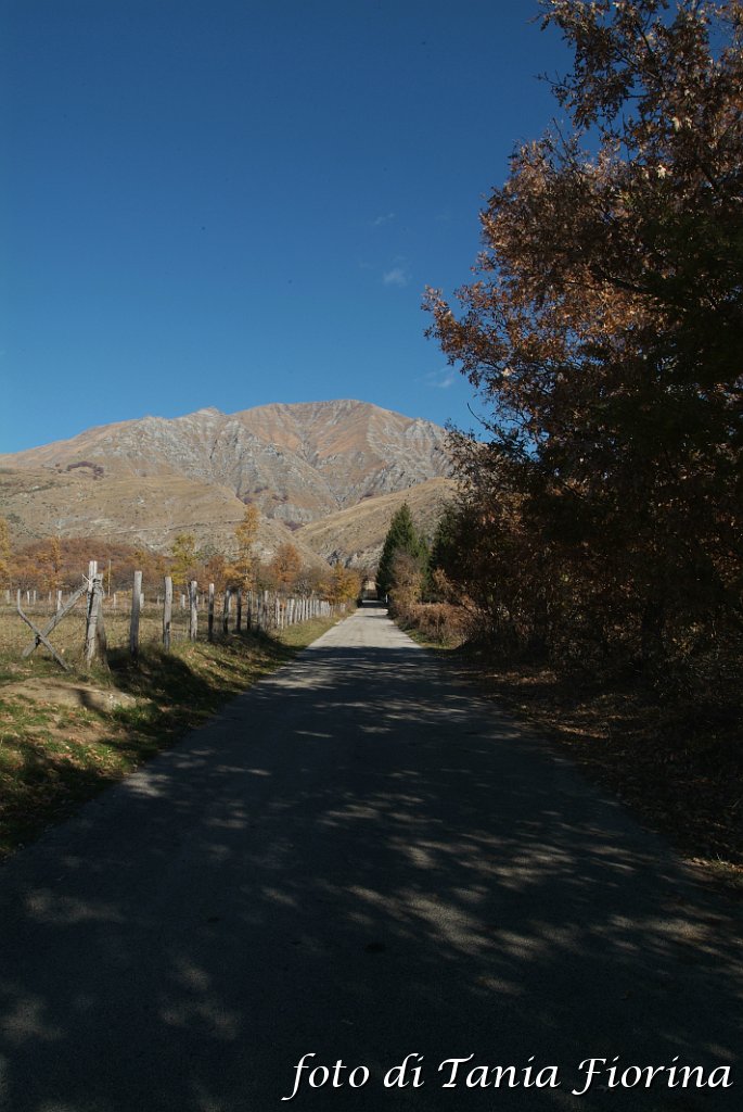 DSCF0237.JPG