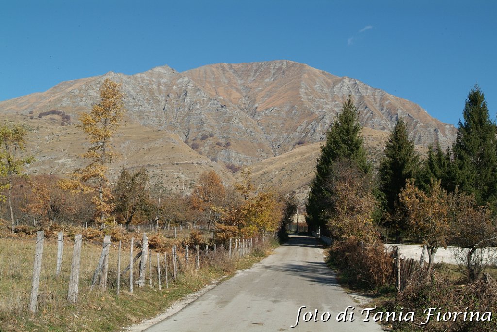DSCF0248.JPG