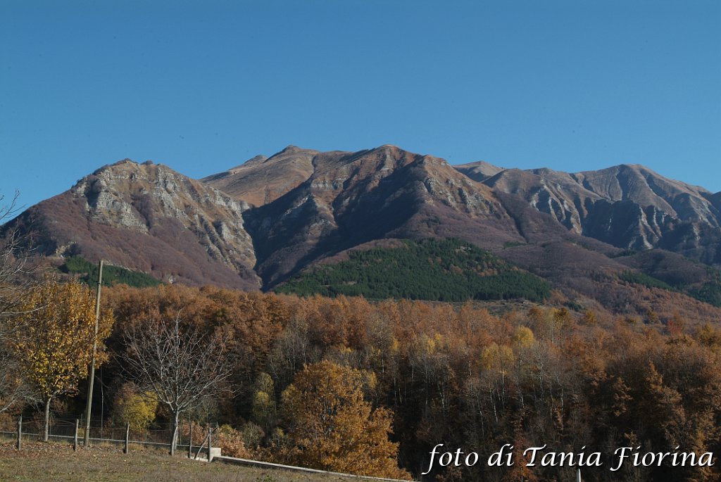 DSCF0249.JPG