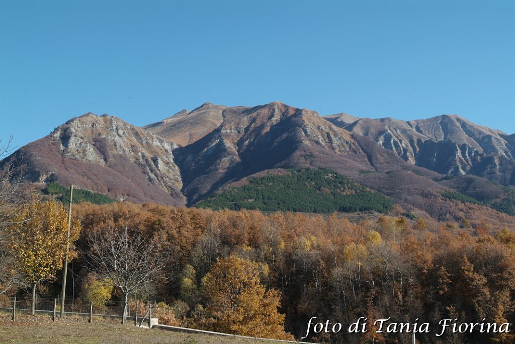 DSCF0250.JPG