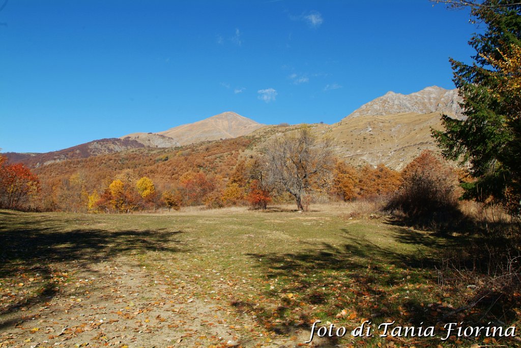 DSCF0261.JPG