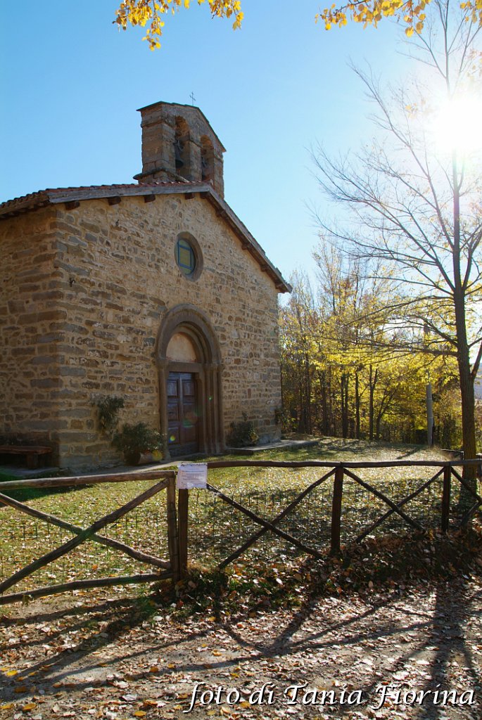 DSCF0272.JPG