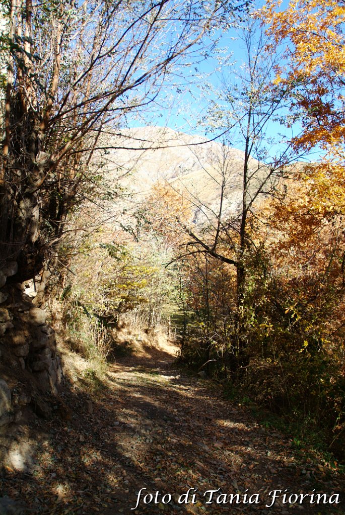 DSCF0283.JPG
