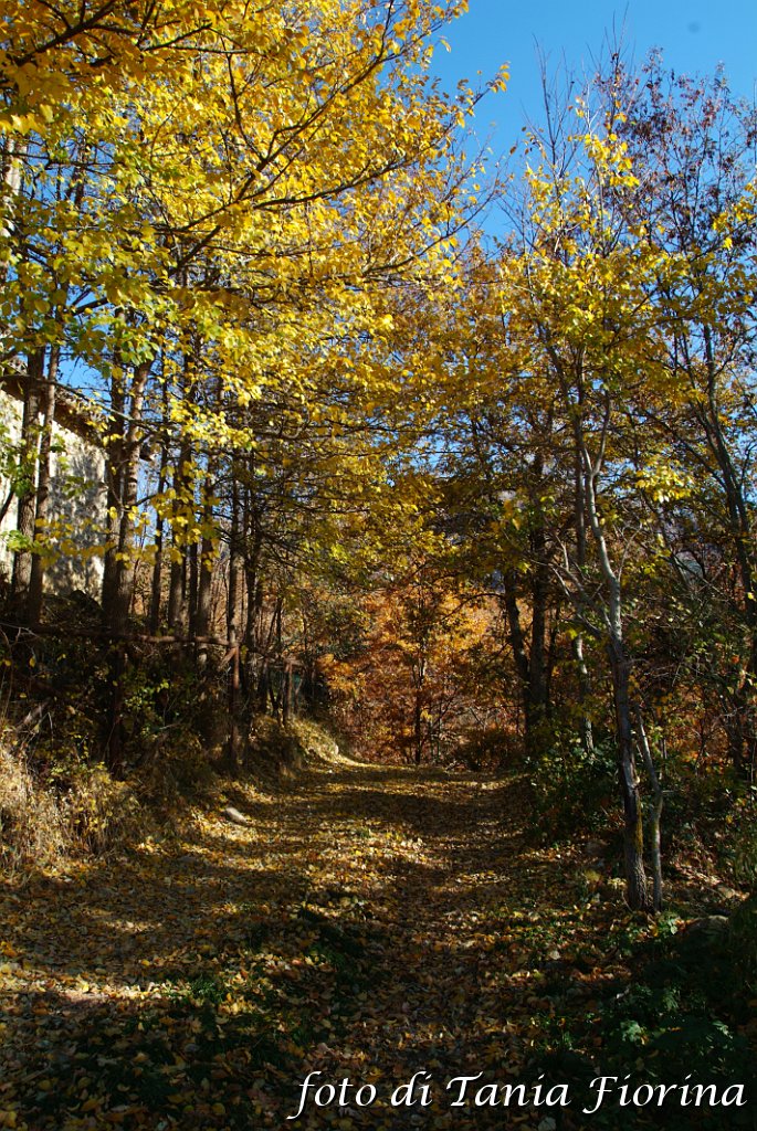 DSCF0287.JPG