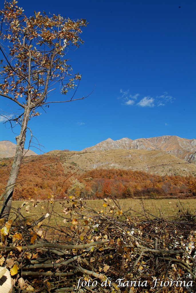 DSCF0294.JPG