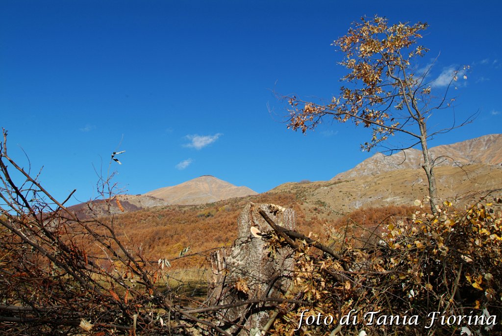 DSCF0295.JPG