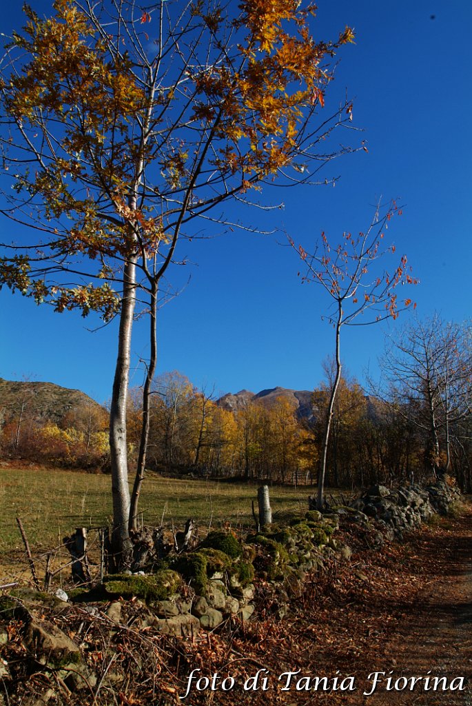 DSCF0297.JPG