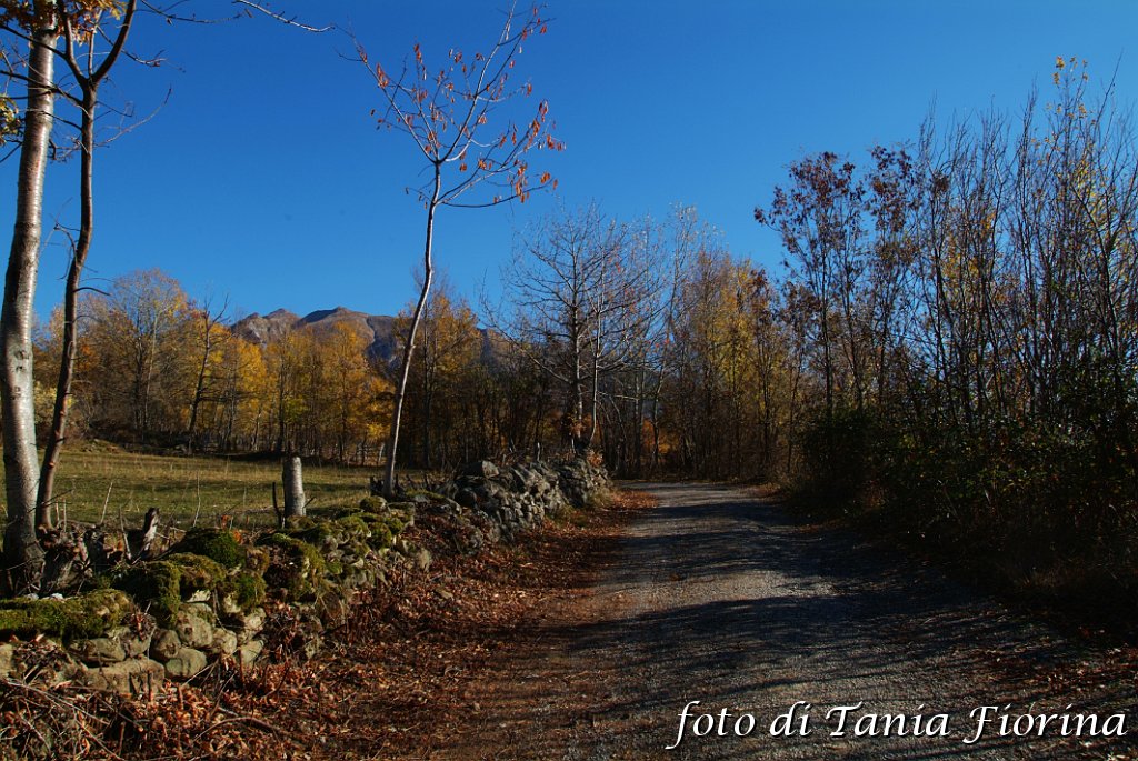 DSCF0298.JPG