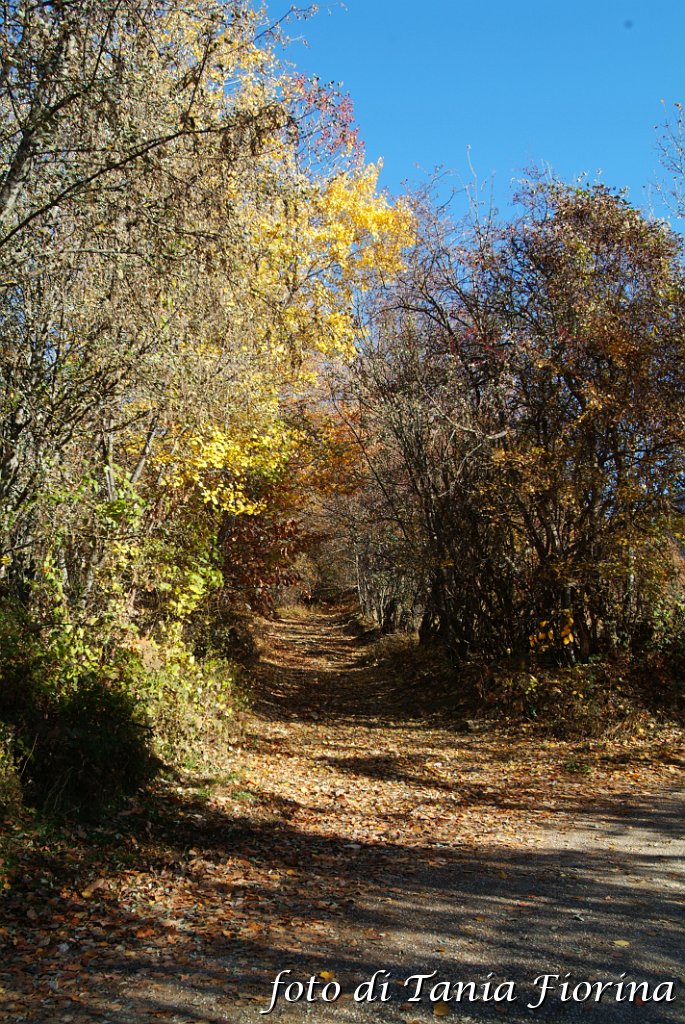 DSCF0299.JPG