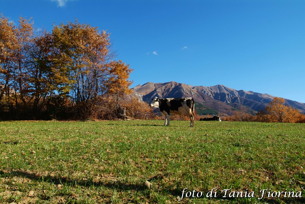 DSCF0312.JPG