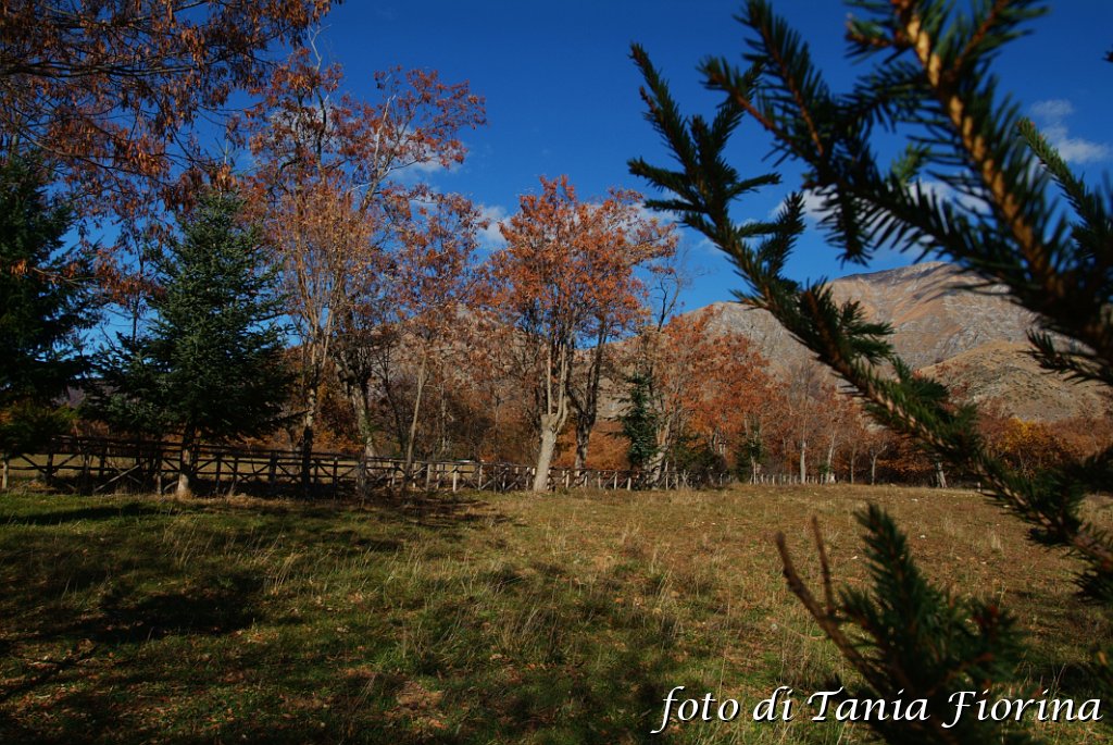 DSCF0323.JPG