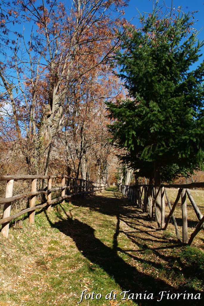 DSCF0324.JPG