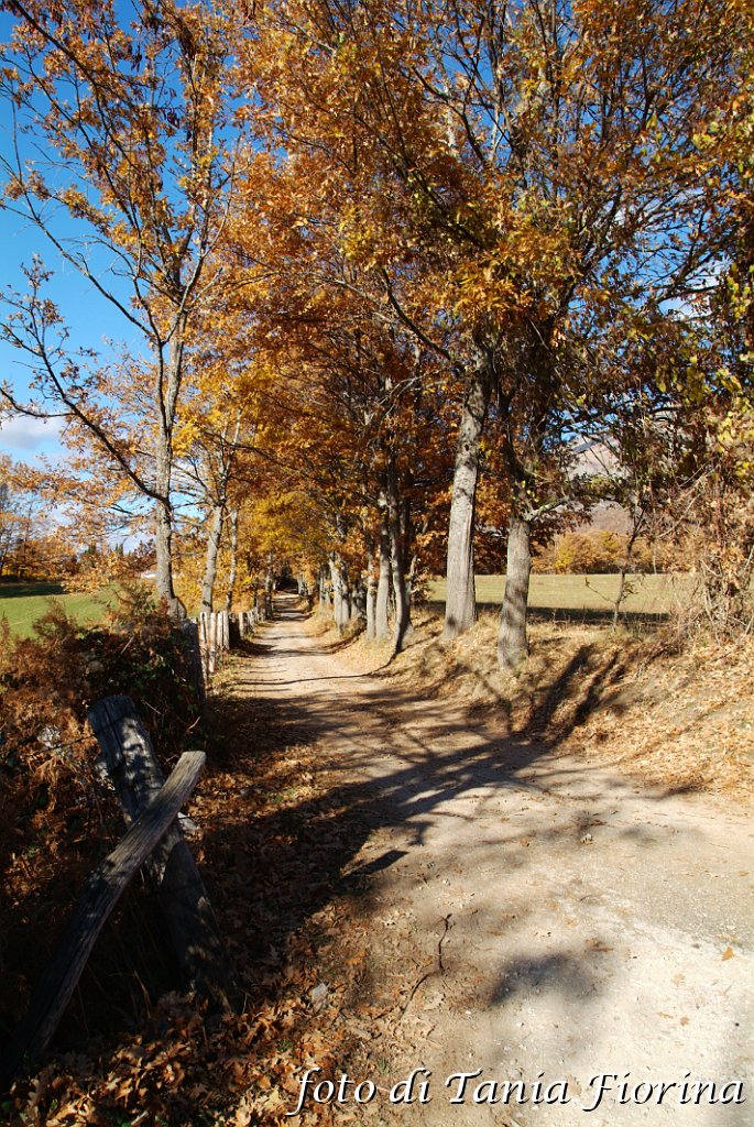 DSCF0334.JPG