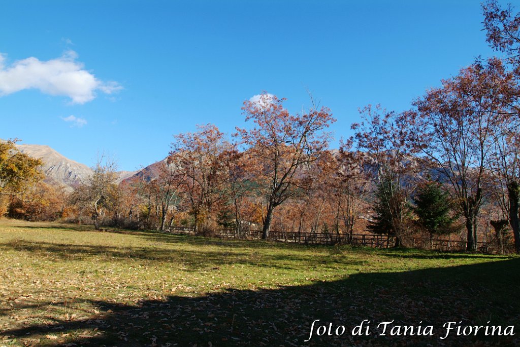 DSCF0338.JPG
